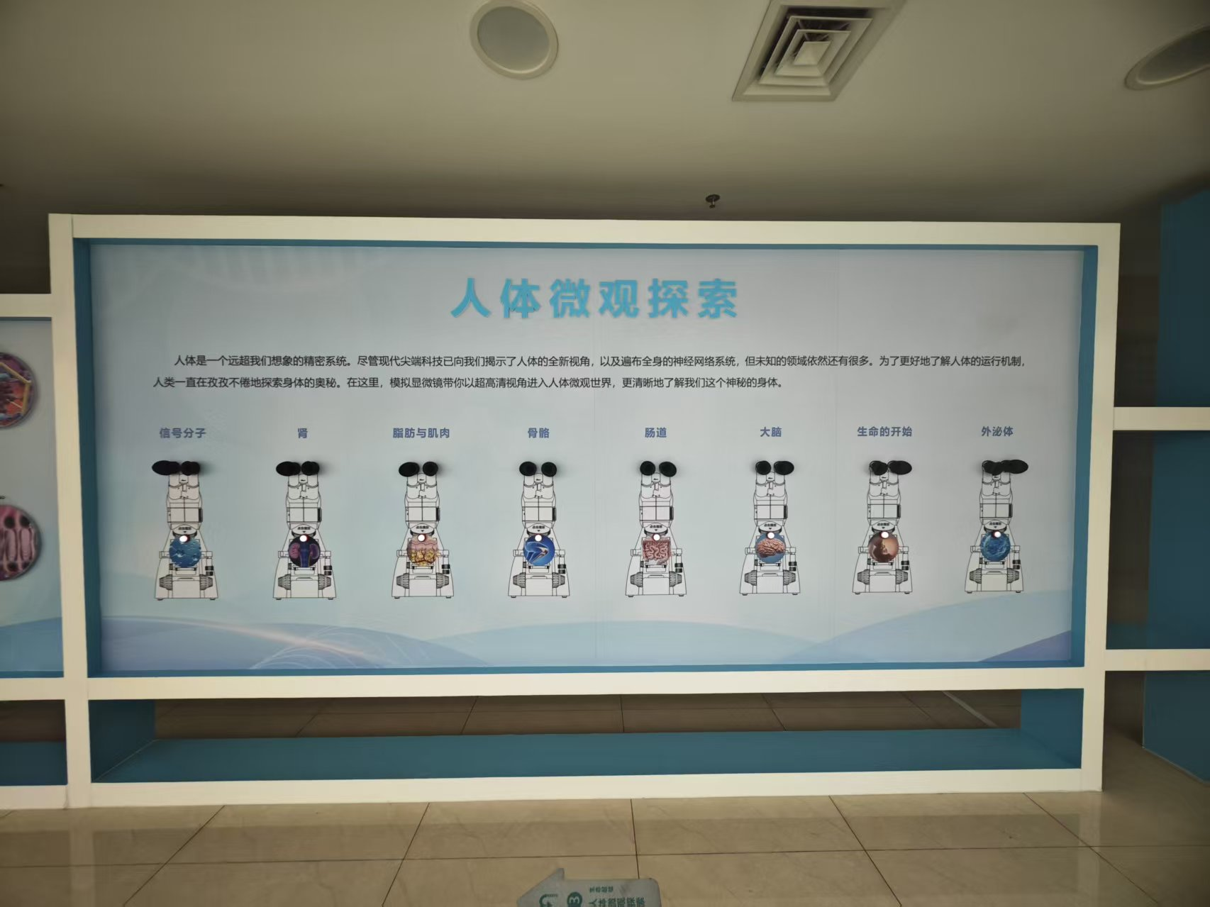 b252e833cac0d19322258f7989aa55fd.png